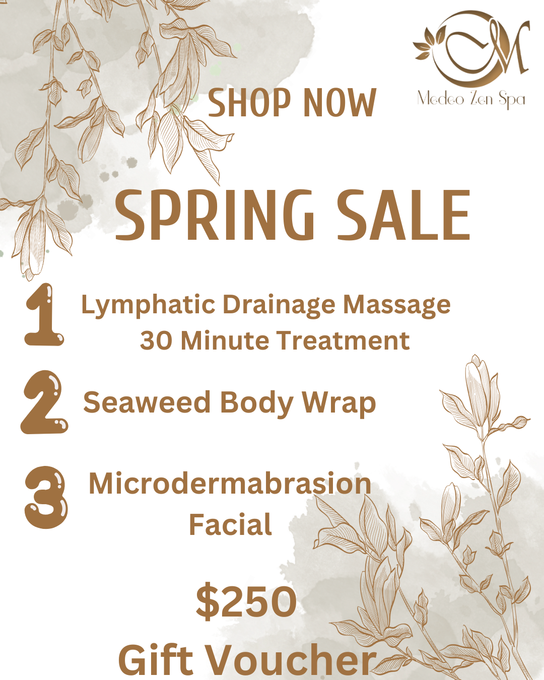 SPRING SALE $250 Lymphatic Drainage Massage, Seaweed Body Wrap, Microdermabrasion Facial
